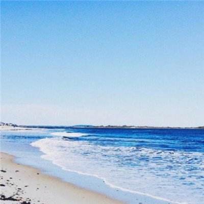 大发国际手机app下载