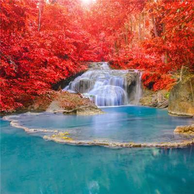 2023澳门资料大全正版手机app下载