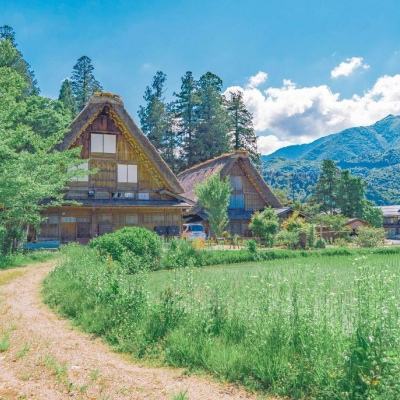 安博.体育app下载