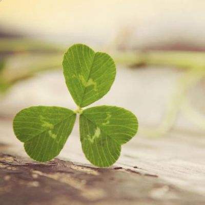 2023澳门资料大全正版下载手机版