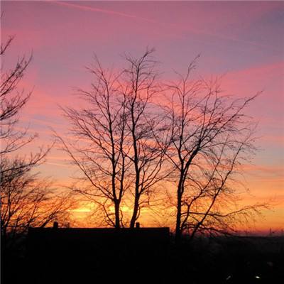 万博手机版max网页版手机app下载