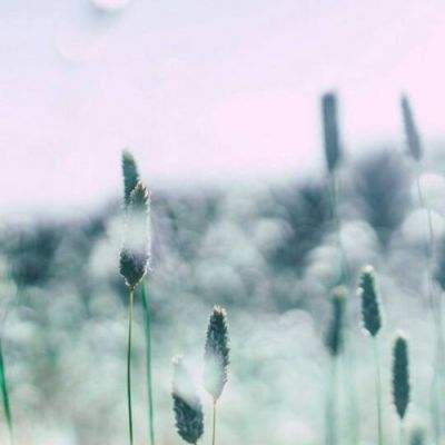 pg麻将胡了下载