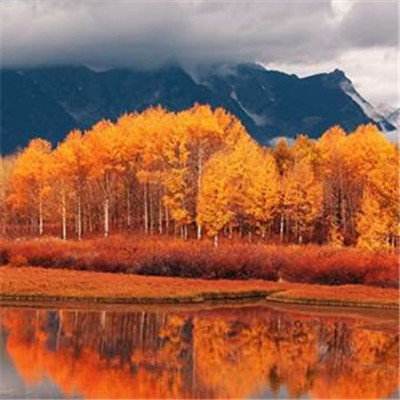 m6米乐网页版登录入口手机app下载截图